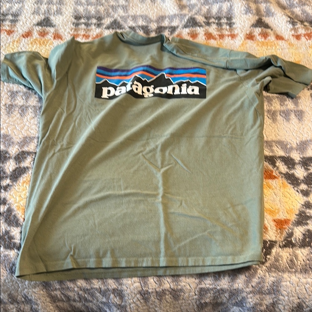 Patagonia Green Short Sleeve Tee for Everyday Comfort - Picture 2 of 3